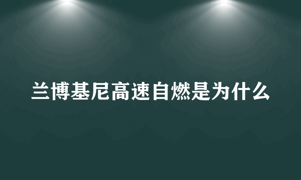 兰博基尼高速自燃是为什么