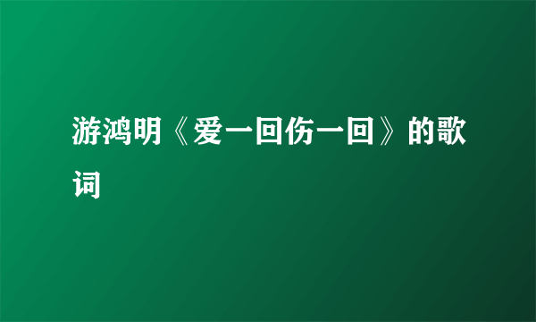 游鸿明《爱一回伤一回》的歌词