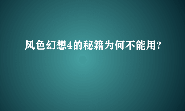 风色幻想4的秘籍为何不能用?