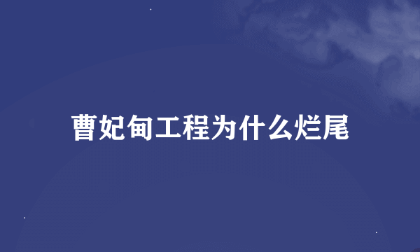 曹妃甸工程为什么烂尾