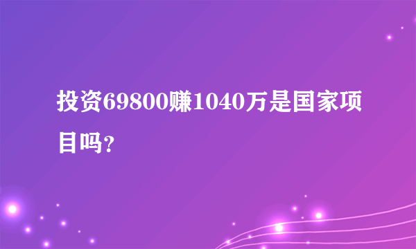 投资69800赚1040万是国家项目吗？