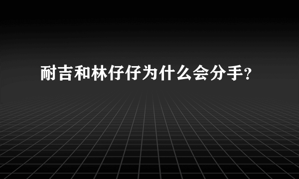 耐吉和林仔仔为什么会分手？