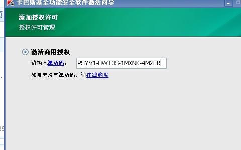 卡巴斯基2010激活码