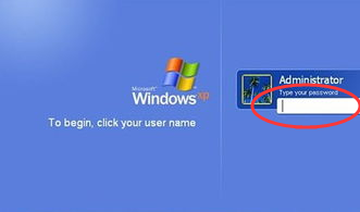 xp系统的电脑中administrator密码忘记了怎么办？