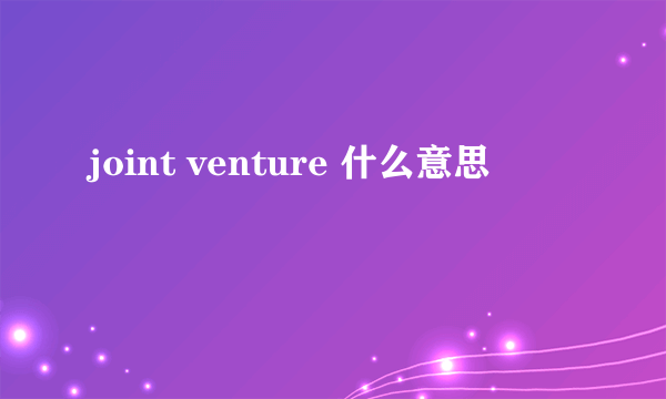 joint venture 什么意思