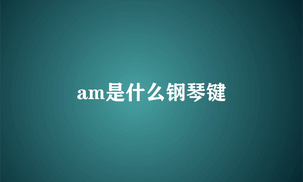 am是什么钢琴键