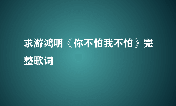 求游鸿明《你不怕我不怕》完整歌词