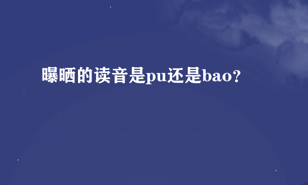 曝晒的读音是pu还是bao？