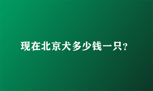 现在北京犬多少钱一只？