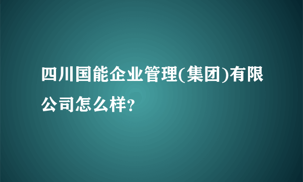 四川国能企业管理(集团)有限公司怎么样？