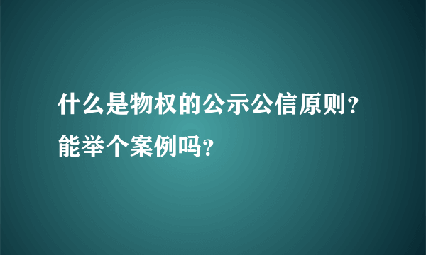 什么是物权的公示公信原则？能举个案例吗？