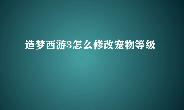 造梦西游3怎么修改宠物等级