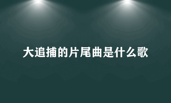 大追捕的片尾曲是什么歌