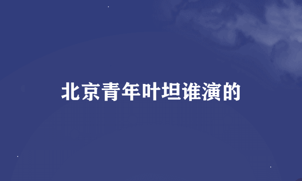 北京青年叶坦谁演的