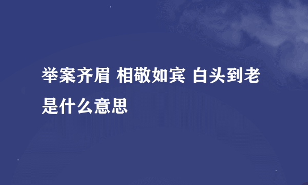 举案齐眉 相敬如宾 白头到老 是什么意思