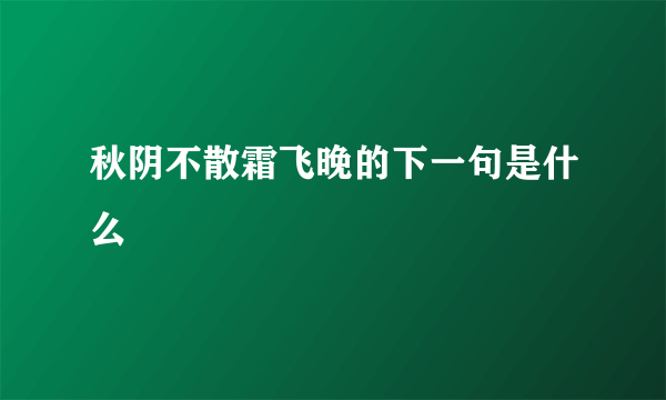 秋阴不散霜飞晚的下一句是什么