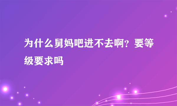 为什么舅妈吧进不去啊？要等级要求吗