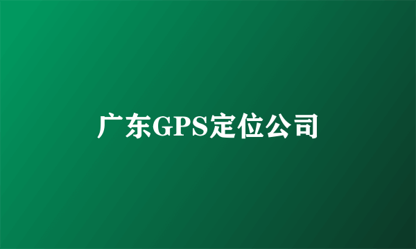 广东GPS定位公司