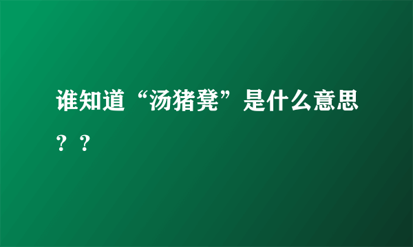 谁知道“汤猪凳”是什么意思？？