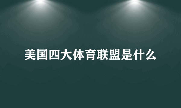 美国四大体育联盟是什么