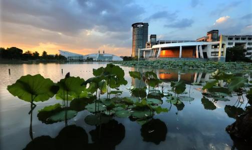 浙江大学为何今年一个月里爆发了三次丑闻？