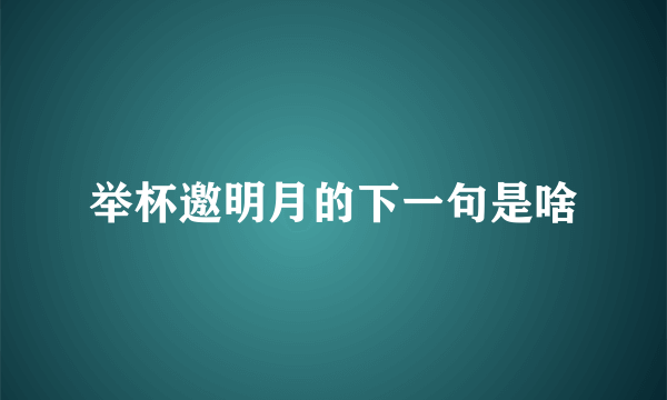 举杯邀明月的下一句是啥