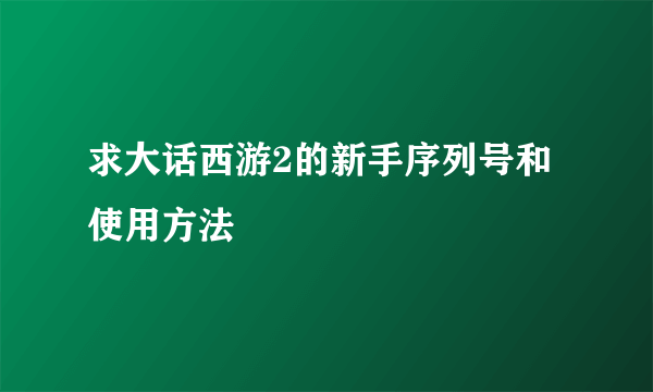 求大话西游2的新手序列号和使用方法