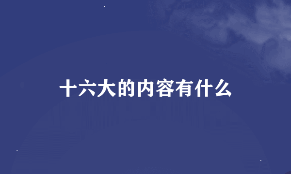 十六大的内容有什么