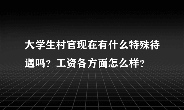 大学生村官现在有什么特殊待遇吗？工资各方面怎么样？