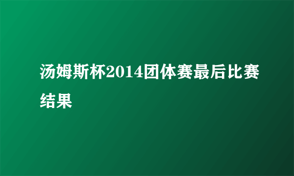 汤姆斯杯2014团体赛最后比赛结果