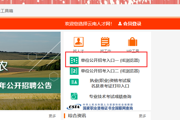 云南省人才网报名入口