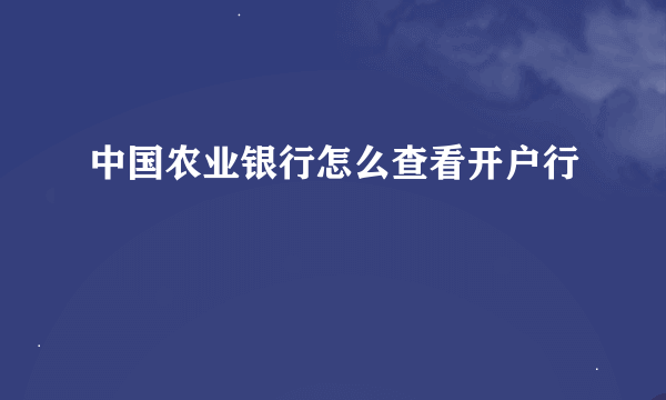 中国农业银行怎么查看开户行