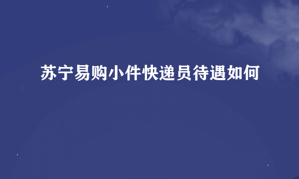 苏宁易购小件快递员待遇如何