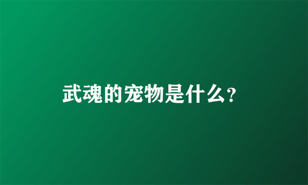 武魂的宠物是什么？