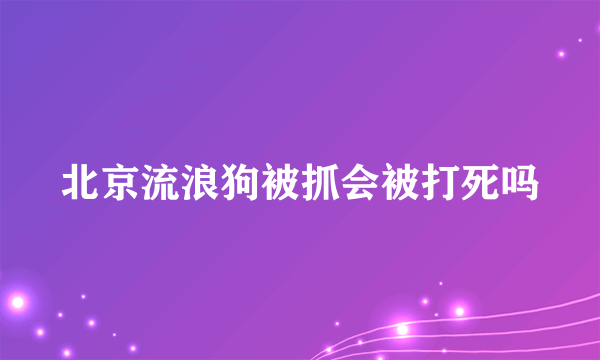 北京流浪狗被抓会被打死吗