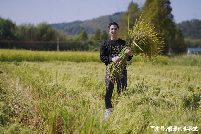 林生斌资产情况被扒，亡妻遗产痕迹被抹，近两年名下公司变动大，你怎么看？