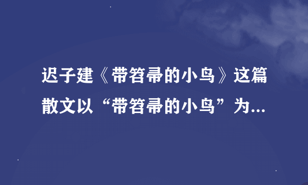 迟子建《带笤帚的小鸟》这篇散文以“带笤帚的小鸟”为题，从全文看看。你有什么理解