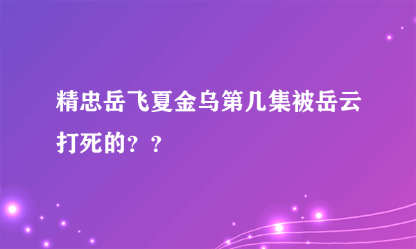 精忠岳飞夏金乌第几集被岳云打死的？？