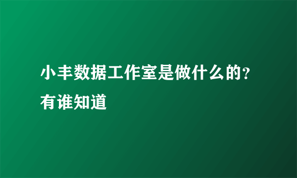 小丰数据工作室是做什么的？有谁知道