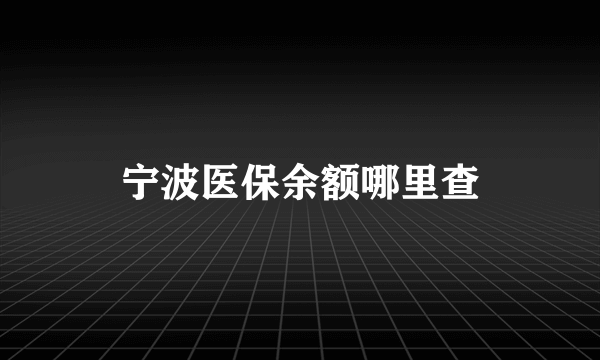 宁波医保余额哪里查