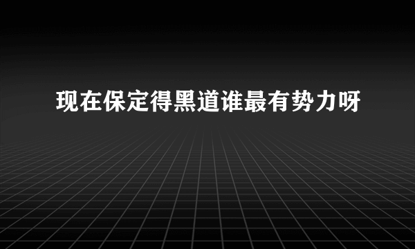 现在保定得黑道谁最有势力呀