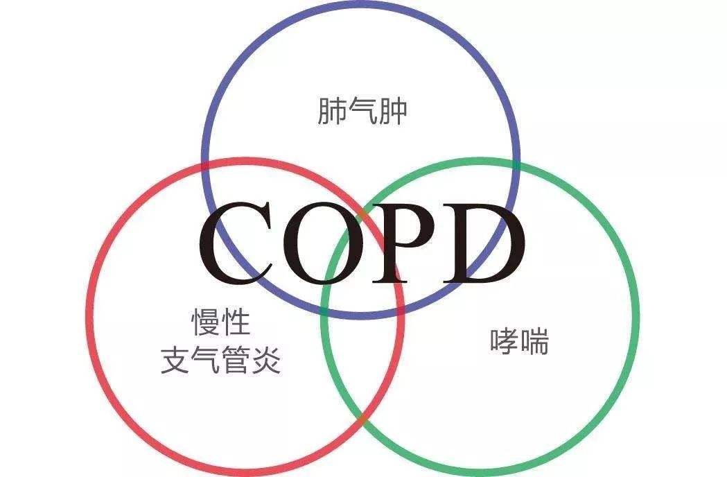 医学术语COPD是什么意思啊