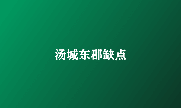 汤城东郡缺点