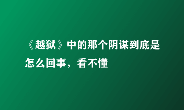 《越狱》中的那个阴谋到底是怎么回事，看不懂