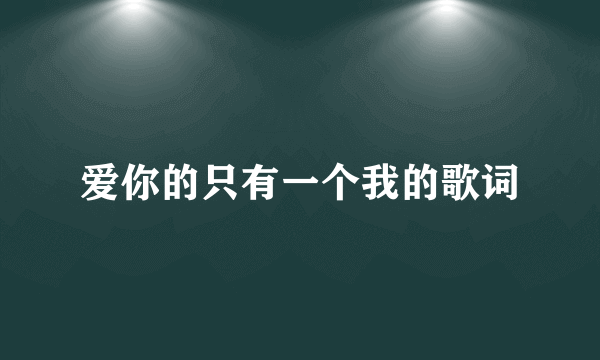 爱你的只有一个我的歌词