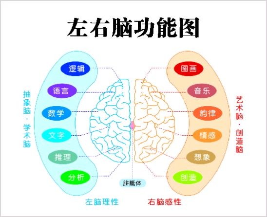 中国最强大脑是真的吗