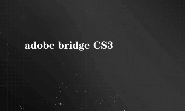 adobe bridge CS3