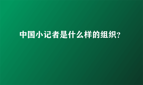 中国小记者是什么样的组织？