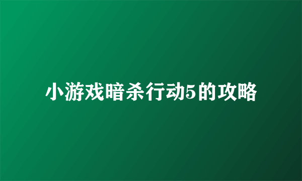 小游戏暗杀行动5的攻略