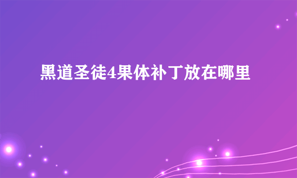 黑道圣徒4果体补丁放在哪里